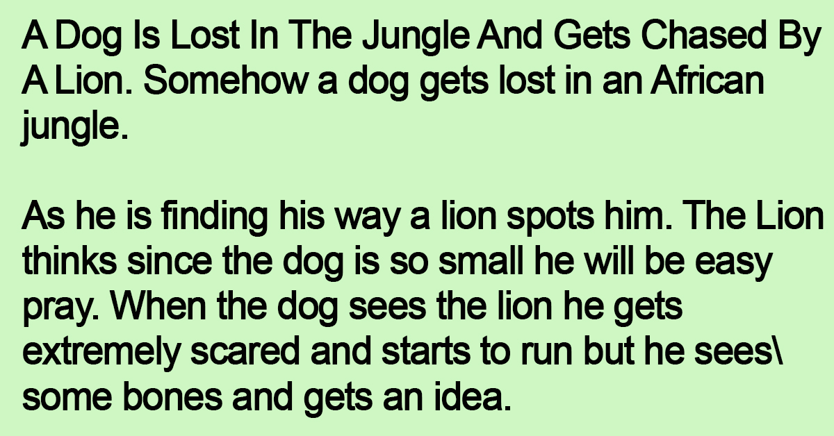 A Dog Is Lost In The Jungle And Gets Chased By A Lion.