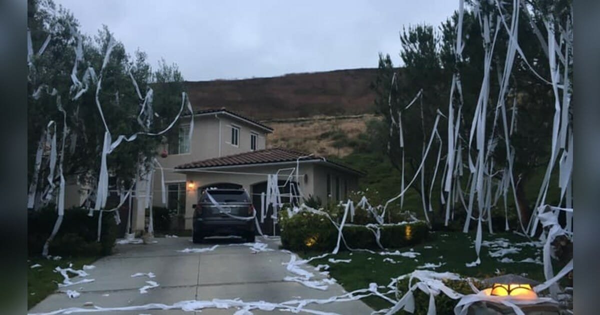 Mom shares a 'few choice words' after pranksters throw toilet paper all over her yard