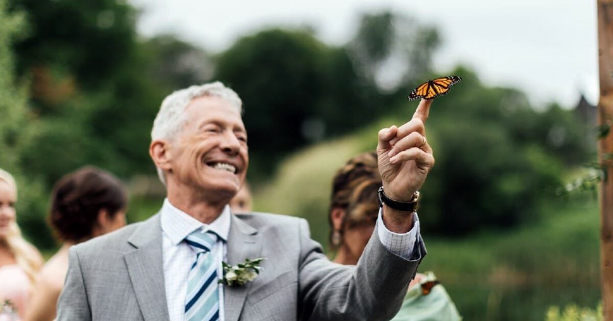 Butterfly lands on dad's hand during emotional tribute to late daughter at son's wedding