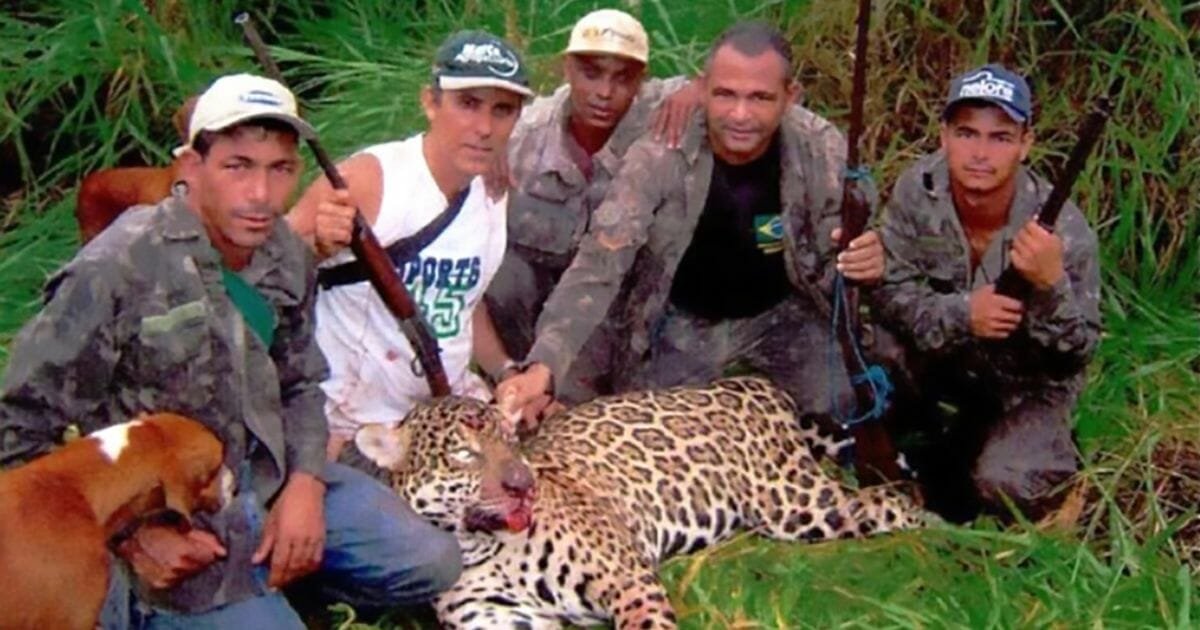 Dentist arrested for killing over 1,000 protected jaguars on sick hunting trips