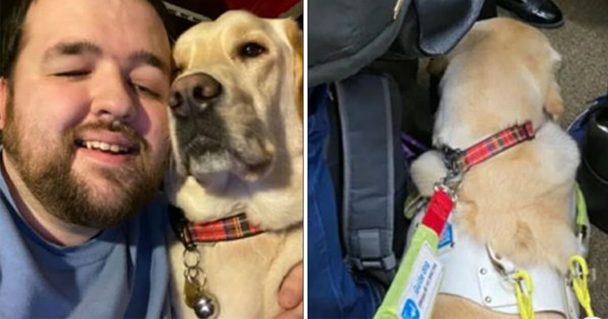 Blind man with guide dog forced to stand on train after other passengers refuse to give up seats