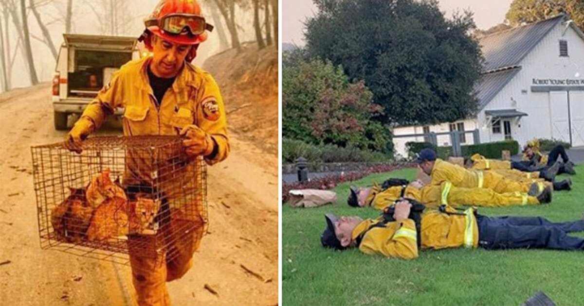 Thank you firefighters: Dramatic photos shows exhausting battle against California wildfires