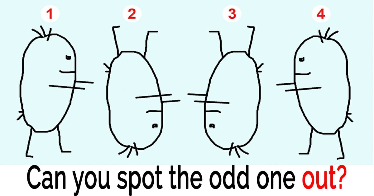 Look closely at these 4 picture puzzles – only some people can find the odd one out in under 60 secs