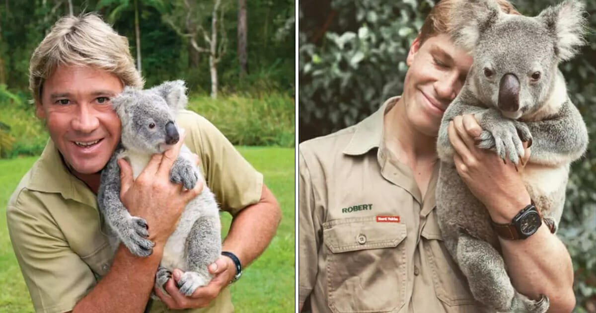 Robert Irwin recreates dad's famous koala photo, and people can't believe it's him