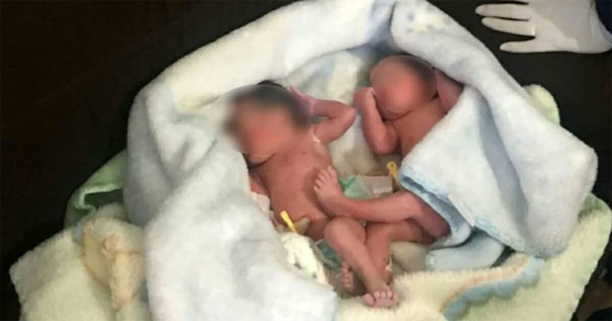 Women hear crying sounds from bush, find abandoned newborn twins with umbilical cords still attached
